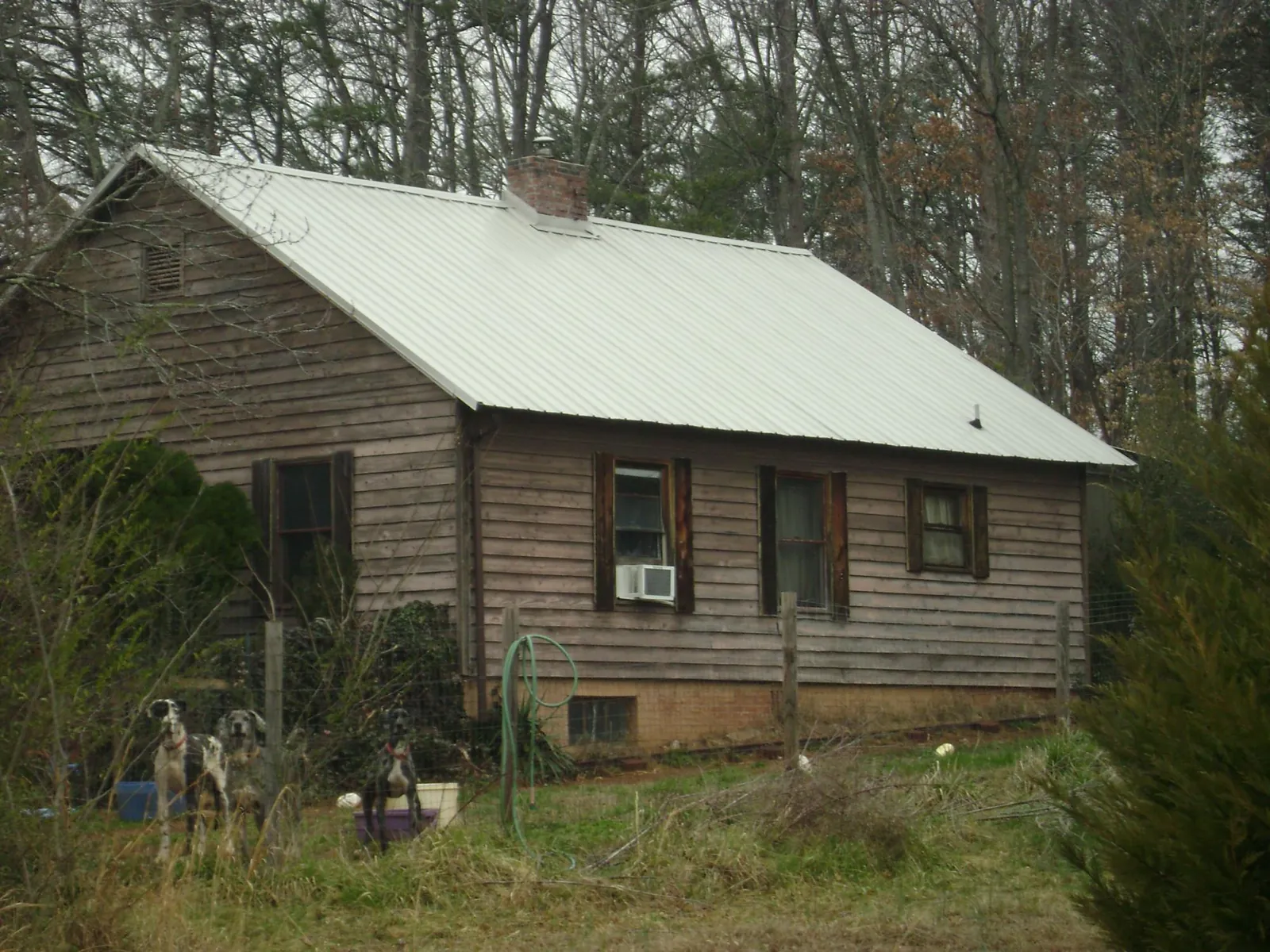 White metal roof on an old wood sided farmhouse, from a Asphalt Shingle Roof Repair job in Bairdford